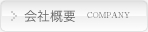 ЊTv