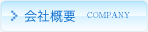 ЊTv
